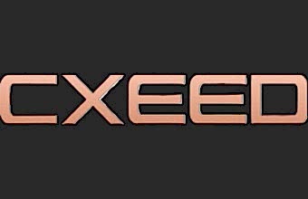 Оклейка пленкой EXEED