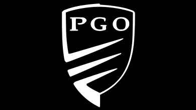 Оклейка пленкой PGO