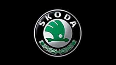 Оклейка пленкой Skoda