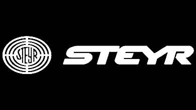Оклейка пленкой Steyr
