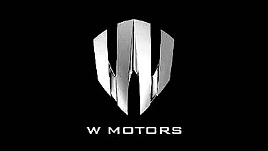 Оклейка пленкой W Motors