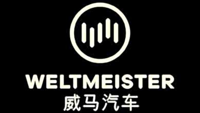 Оклейка пленкой Weltmeister