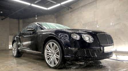 Комплексы Carleone